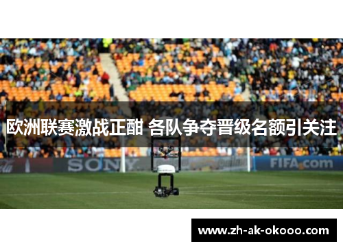 欧洲联赛激战正酣 各队争夺晋级名额引关注