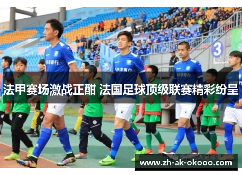 法甲赛场激战正酣 法国足球顶级联赛精彩纷呈