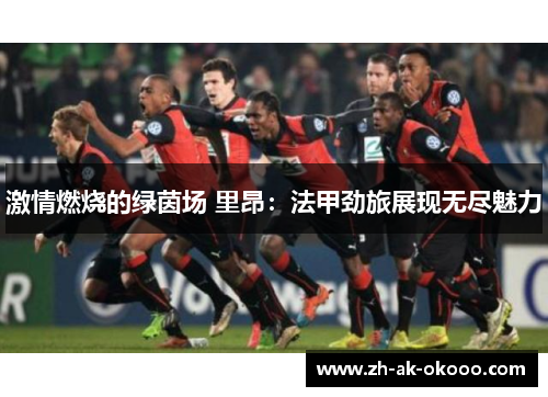 激情燃烧的绿茵场 里昂:法甲劲旅展现无尽魅力 激情燃烧的绿茵场 里昂:法甲劲旅展现无尽魅力