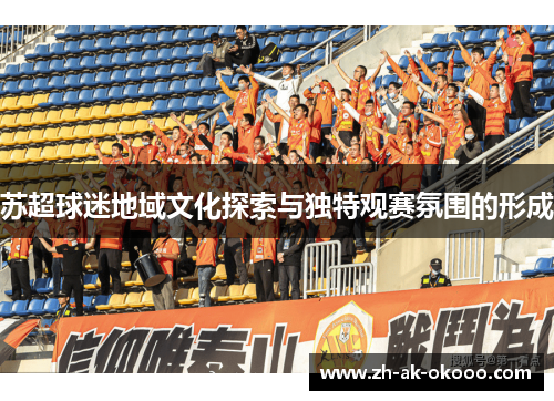 苏超球迷地域文化探索与独特观赛氛围的形成